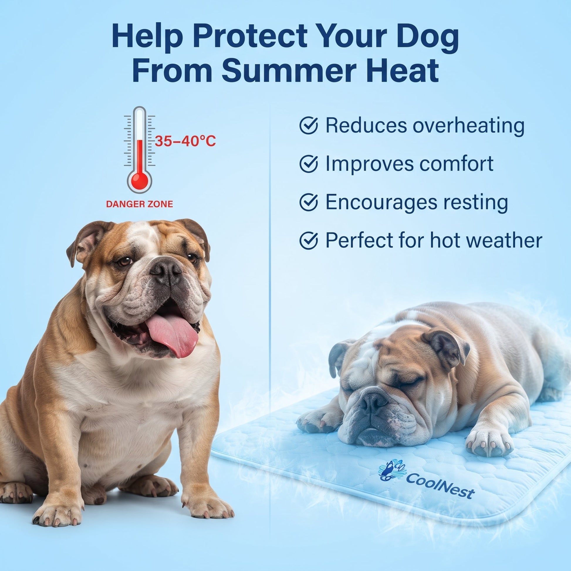 Help protect your dog from summer heat