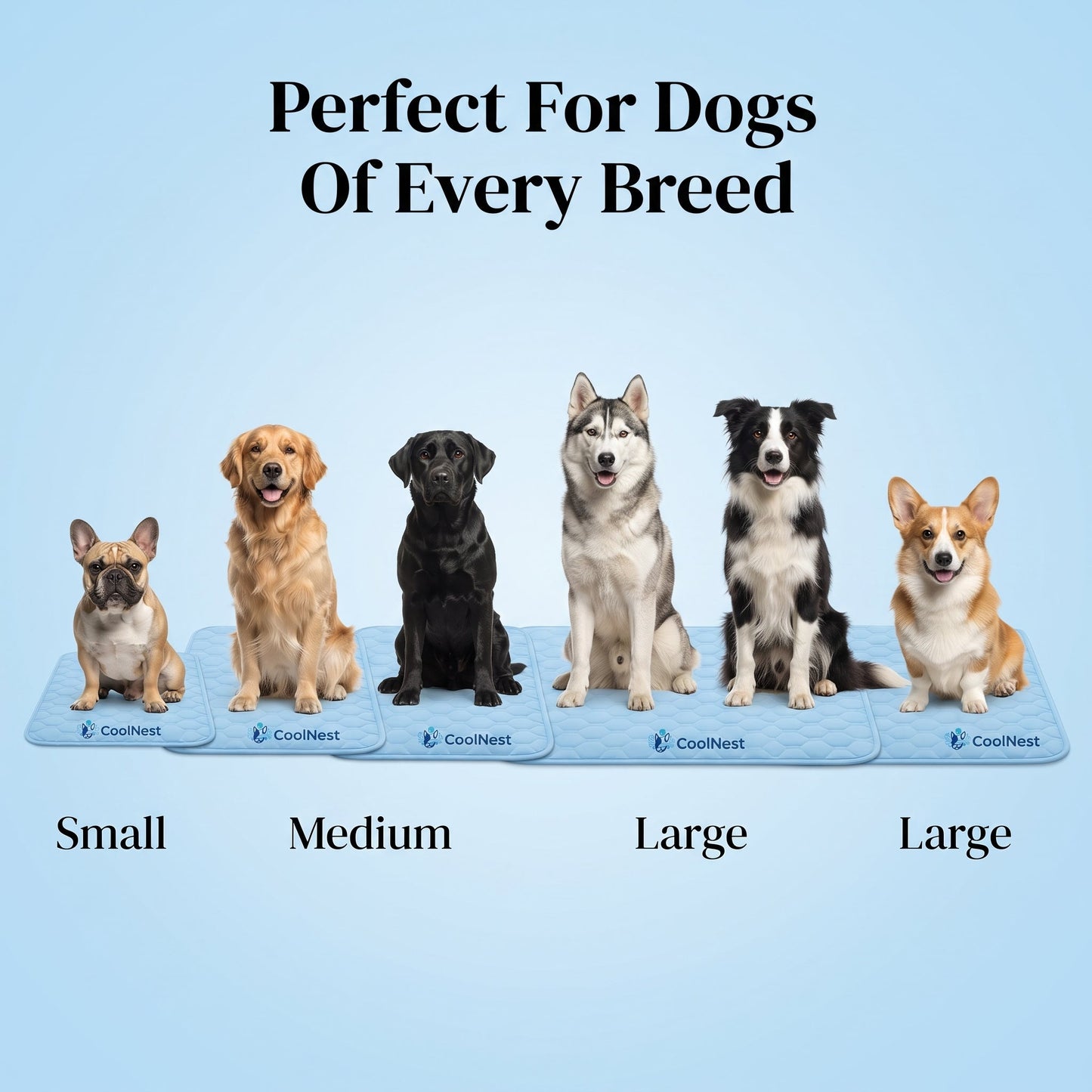 Perfect for dogs of every breed - size guide